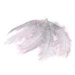 Decorazione naturale piume di struzzo PIPPIN, 5 pezzi, grigio chiaro, 55-70 cm