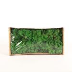 Autentico muschio islandese SVEINBJÖRN, verde segnale, 500g