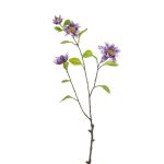 Ramo decorativo clematide RUHNA, lilla, 75 cm