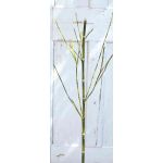 Ramo di bambù artificiale HARUTO, 105cm