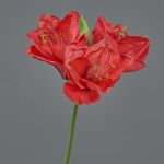 Amaryllis artificiale BENITA, rosso, 55cm, Ø10cm