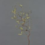 Ramo di nocciolo sintetico XANCHO, con amenti, marrone, 65cm
