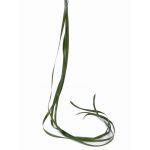 Erba carice sintetica JURO, verde, 120cm, Ø1cm
