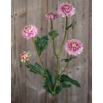 Crisantemo artificiale RYON, rosa-verde, 70cm, Ø3-5cm