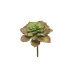 Echeveria morani artificiale XINYA su stelo, rosso-verde, 17cm