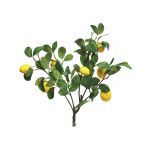 Ramo decorativo di limone XIALIN con frutti, giallo, 60cm