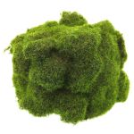 Pietre decorative di muschio YUELAN, verde, 20x14cm