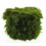 Pietre decorative di muschio YUELAN, verde, 13x10cm