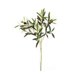 Ramo di olivo artificiale KONSTANTINOS, con frutti, verde, 50cm