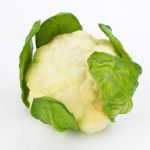 Cavolo sintetico SINEO, bianco-verde, 10,5cm, Ø18cm