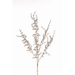 Ramo artificiale Asparagus acutifolius PARNASO, oro, 100 cm
