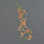 Ramo di orchidea Cattleya artificiale TRASSA, arancione-giallo, 80 cm