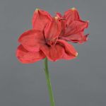Amaryllis artificiale NARWELA, rosso, 70 cm, Ø10-13 cm