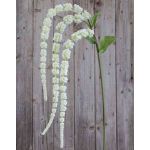 Ramo di amaranto artificiale SENIO con fiori, bianco, 70cm
