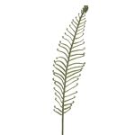 Foglia artificiale di felce reale DRAGU, verde, 95 cm