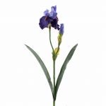 Iris artificiale ALYSSA, blu, 70cm, Ø13cm