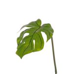 Foglia di filodendro finta LANDER, verde, 55cm