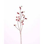 Rosa villosa finta GERDA, con frutti, rosso, 110cm