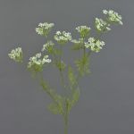 Ramo di aneto finto WINCENT, bianco-verde, 80cm