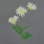 Crisantemo artificiale SOLVIE, crema, 70cm, Ø10cm