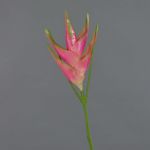Speronella artificiale TOMKE, fucsia-verde, 80cm, Ø30cm