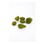 Pietre di muschio artificiale BAHIA, 6 pezzi, verde, 12x16x16x5cm