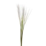 Erba di pampa artificiale ASES, pannocchie, su stelo, verde, 95cm