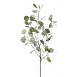 Ramo d'eucalipto artificiale COLTON, verde-grigio, 85cm