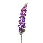 Speronella artificiale ALARICO, viola, 130 cm.