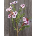 Fiore di cera artificiale AISHA, rosa, 25cm