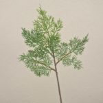 Ramo di cedro decorativo BALTHILDE, verde, 40 cm