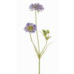 Scabiosa artificiale ANDIA, blu-viola, 80cm, Ø8-10cm
