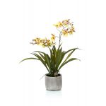 Orchidea oncidium artificiale COLUNGA in vaso di ceramica, giallo-arancione, 45cm