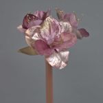 Amaryllis di velluto KIRSTY, rosa antico, 70cm, Ø9cm