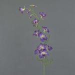 Delphinium artificiale NARUMI, viola, 90cm