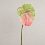 Anthurium artificiale YUSEI, verde-rosa, 65cm