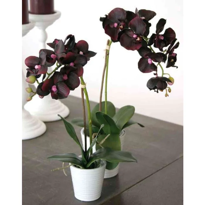 Orchidea artificiale in vaso mick in ceramica bianca h80cm - Atmosphera