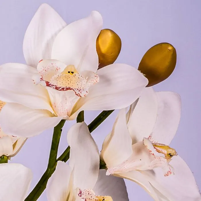 9 fiori artificiali in vaso vero tocco, orchidea finto Cymbidium fiore in vaso di vetro con finta acqua seta rosa finta Phalaenopsis disposizione per casa matrimonio tavolo centrotavola decorazione