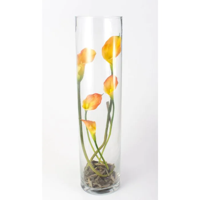 INNA-Glas Vaso da Pavimento Tina, Conico/Rotondo, Trasparente, 67cm, 17cm/22cm - Vaso da Piante - Fioriera