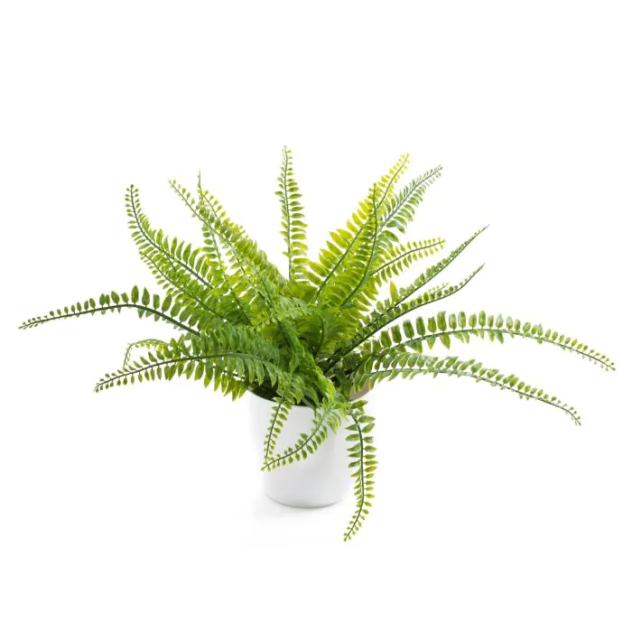 Felce di boston in plastica REMY in vaso di zinco, verde, 30cm