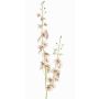 Ramo di orchidea Oncidium artificiale TALIAH, bianco-rosa, 85cm, Ø3-4cm