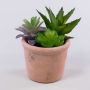 Composizione artificiale di piante grasse DANGELO in vaso di terracotta, verde-viola, 19 cm