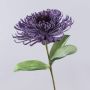 Fiore artificiale Protea in schiuma plastica ISLARTINA, lilla scuro, 75cm