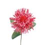 Fiore artificiale cuscino per spilli Protea in schiuma plastica ISLARTINA, rosso-rosa, 75 cm