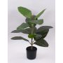 Albero della gomma artificiale FRODELINDE, tronco artificiale, verde, 60cm