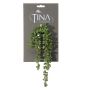 Senecio artificiale NELLAS, gambo, verde, 35cm
