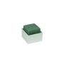 OASIS® Spugna per fiori recisi rettangolare per composizioni floreali, in contenitore di plastica, verde-crema, 6x6x5,5 cm