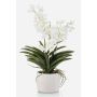 Orchidea artificiale Vanda PAVRA in vaso di ceramica, radici, bianco-crema, 60 cm