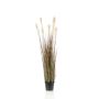 Erba stipa artificiale WELLORI con pannocchie, verde, 120cm