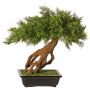 Ginepro bonsai artificiale LORITIS in vaso di pietra, 55 cm